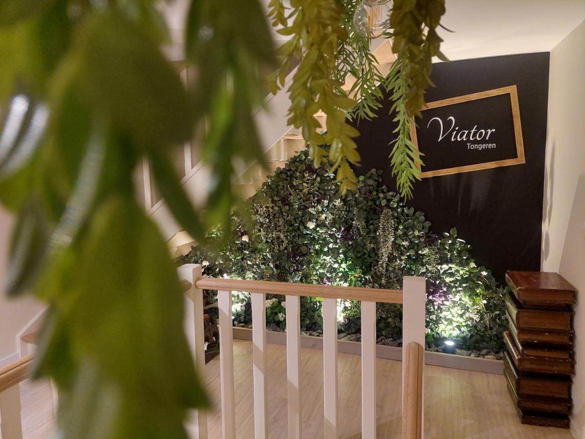 Bed and Breakfast Viator Tongeren Esterno foto